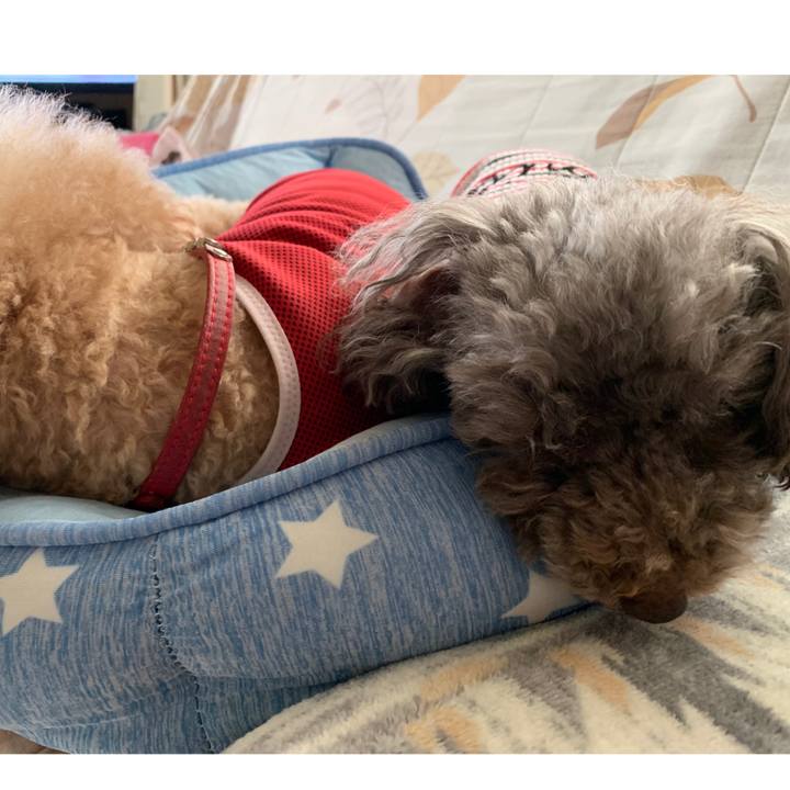 60d2bd8a 4598 4e1b 8379 714d1cbcf9ad 1589840538711