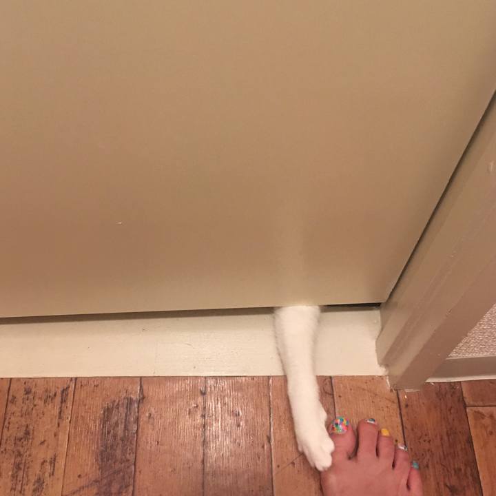 60d2d468 e945 4ab3 8bcd 5b2966e3bd0f 1526572842230