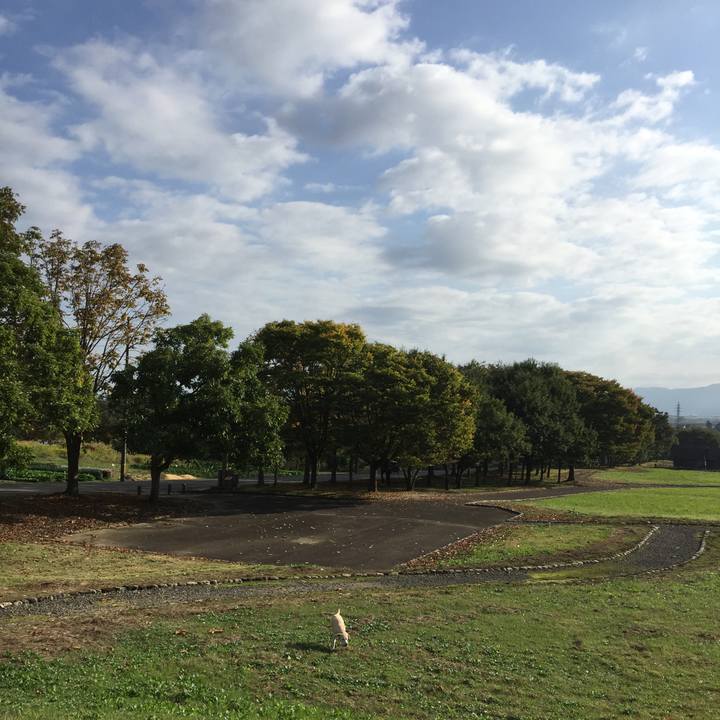 60d2d96e 4d12 4574 99c8 373c0ee8fde3 1508286024824