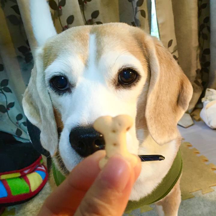 60d319cf fb30 4f73 8cd0 7980d16a0ef8 1571977706353