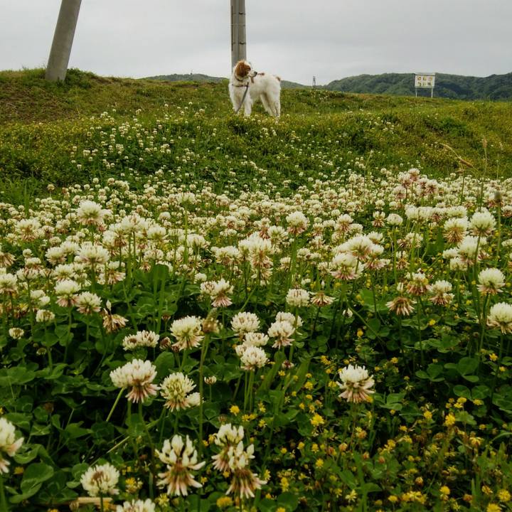 60d3209b d578 4016 bb0f e7d43d88e820 1556624664233