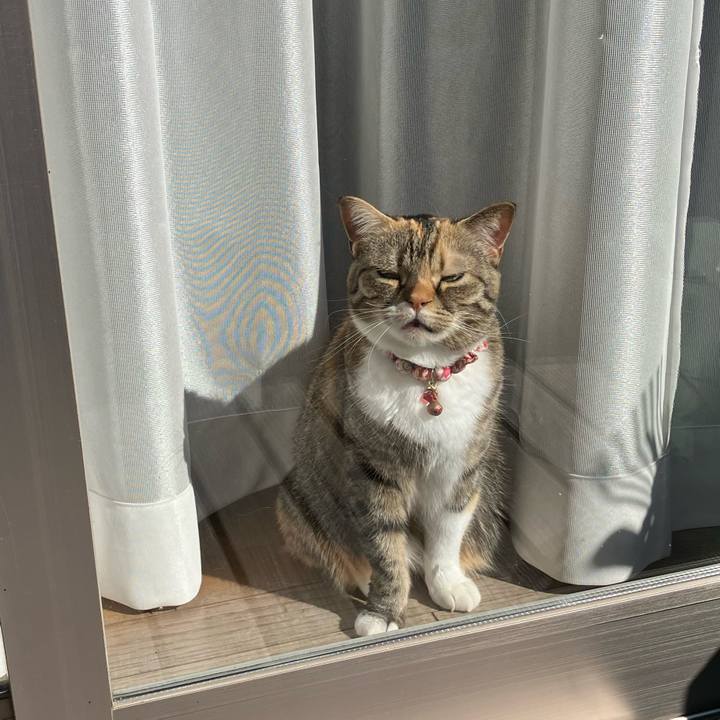 60d3c3e7 5902 4e2a 916d f46e1902637c 1770018205626