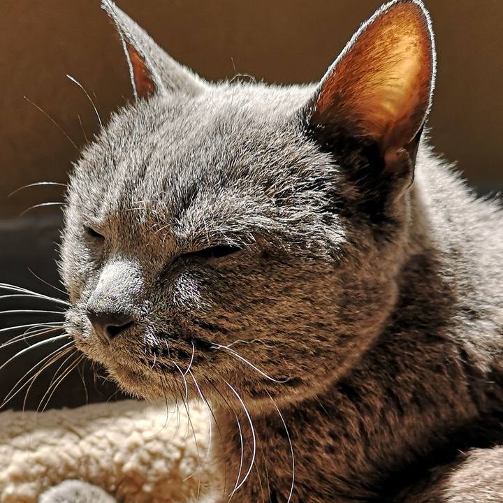 60d3d02d 4305 4624 9b42 045a59be41d6 1681974044589