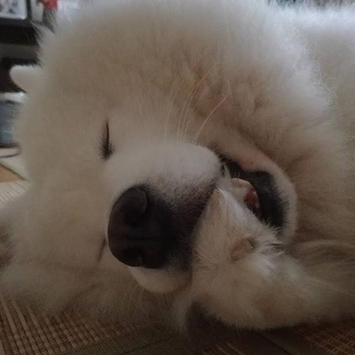 60d3e8ad 4e82 46ad 85cd 643e93db7ae2 1571713489836