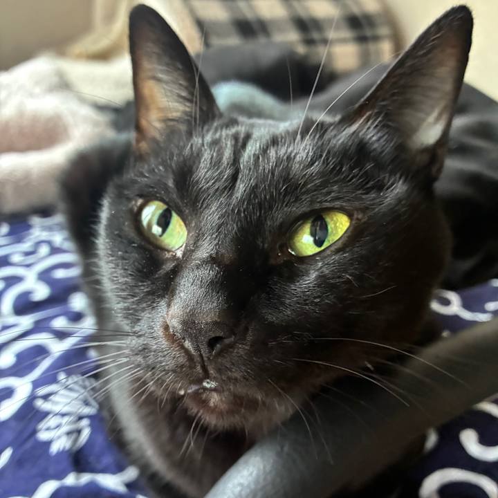 60d3e95e dd36 4d50 a338 d2c574da93fe 1763421483683