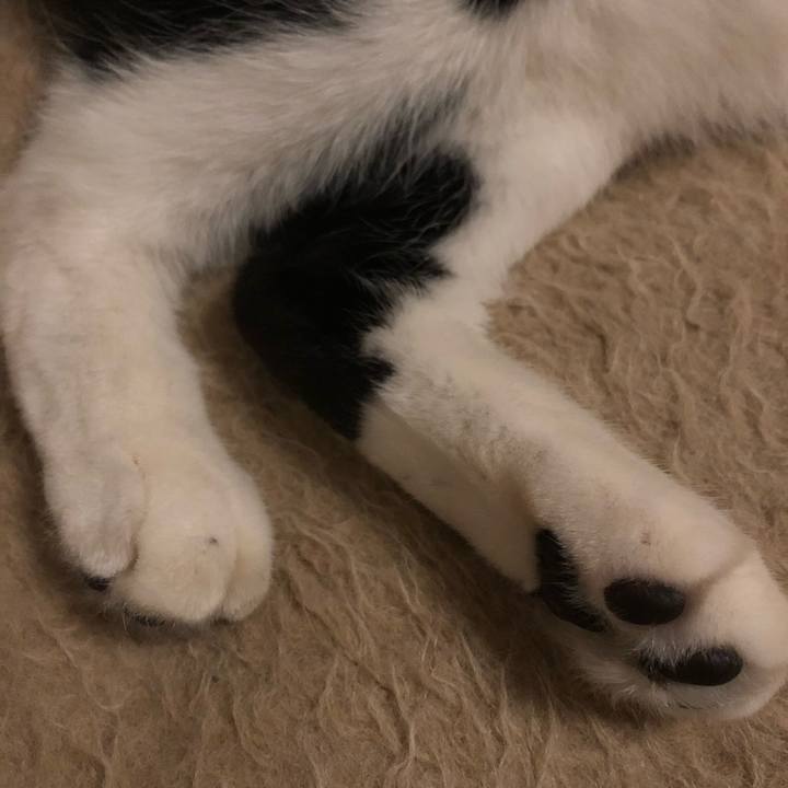 60d3fe6c a2b3 4925 860a e7a8c8c1475f 1553786987023