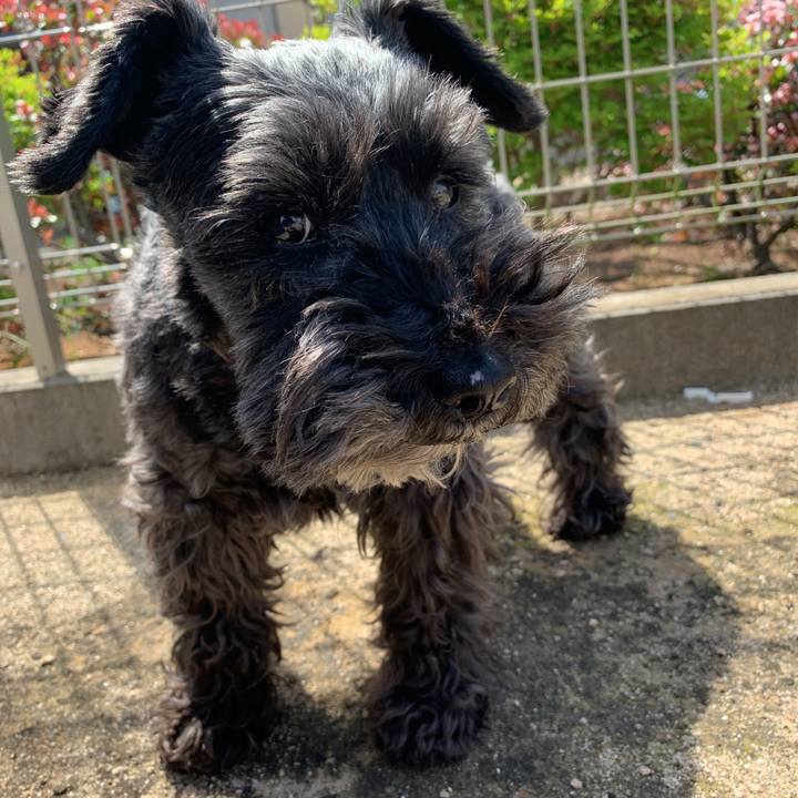 60d48bd8 e9cd 493b b9d2 b66652cd6b43 1587861727544