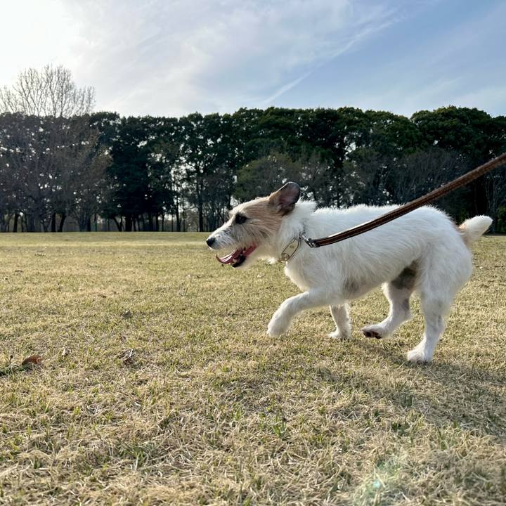 60d4e041 89a6 44c3 9ab4 9839e63cb9a0 1743889607638