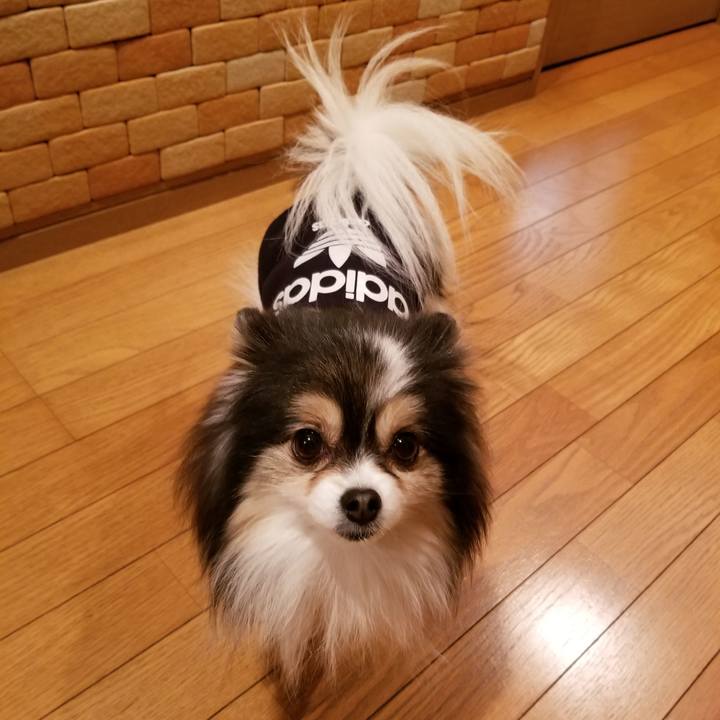 60d5039c c8ce 42d6 a8fa 5131b267e06e 1582023215573