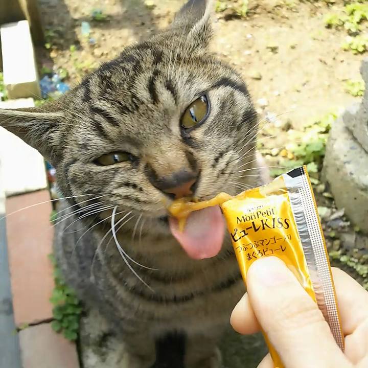 60d516ce c80d 4f9f 8926 b134edbb0643 1556243000815