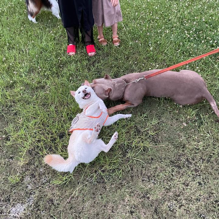 60d52468 885e 487f 9430 215e922a119e 1657508251624