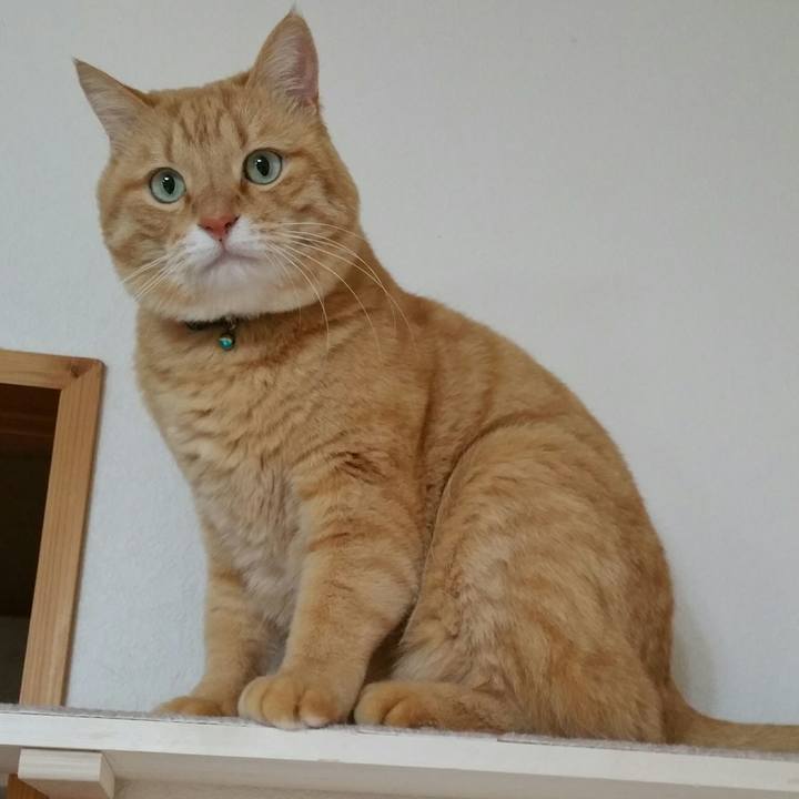 60d5304c c07c 4f5e af04 7fc7ca13e271 1549972055703