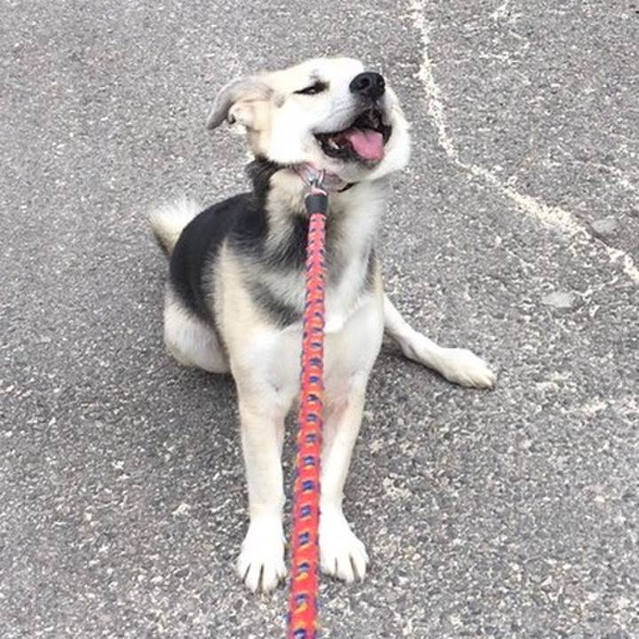 60d555c2 ebc4 4c9d a3eb 16e64a0d26f6 1509453248686