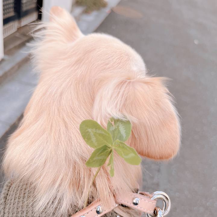 60d5f47c 447d 481e b925 4f6fa217b7bd 1666351027009