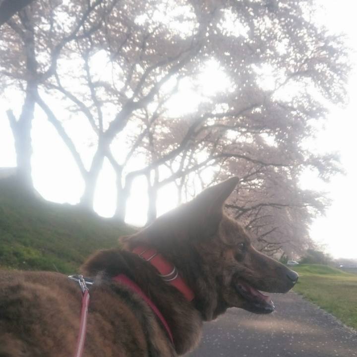 60d5f8ab 88a7 40fd 8f0c 75bfaa23da55 1522484400238