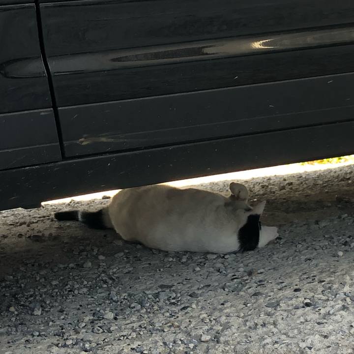 60d60348 50da 493c 84c8 a0a5a0e62878 1568317639463