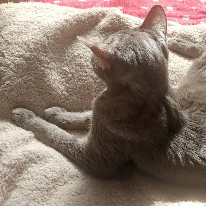 60d622b8 7d27 4606 bb5b 1aab63119c7c 1699494195297