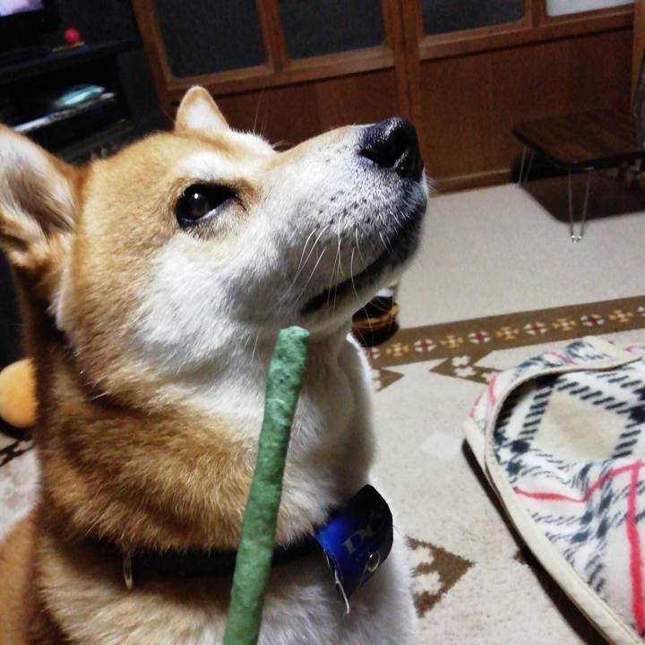 60d625f1 41b5 46c3 b9ca cd2e48687f04 1588339090192