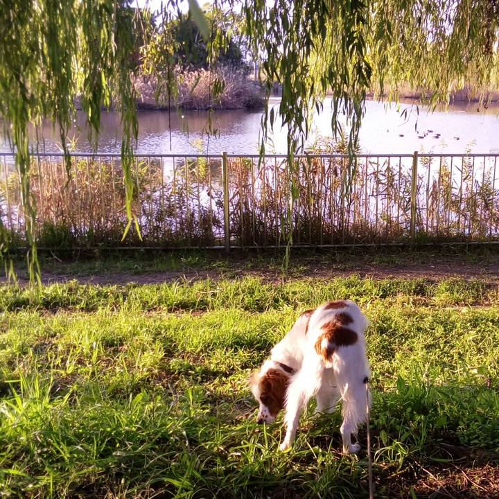 60d66e43 e018 4d95 afa8 63550fd86eb8 1510791531601