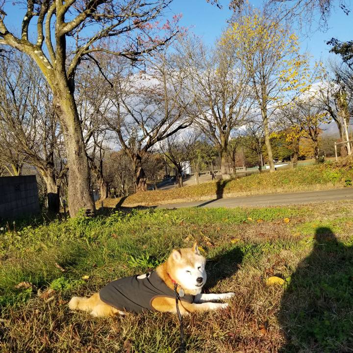 60d676fa 0bfd 460d ac4b 943db0e63ec2 1731305847247