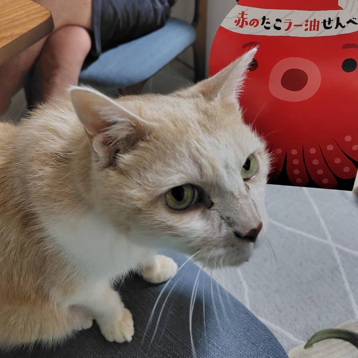 60d6c5ca 3b5f 4cb1 b47d 0de8994db4a3 1728653817957