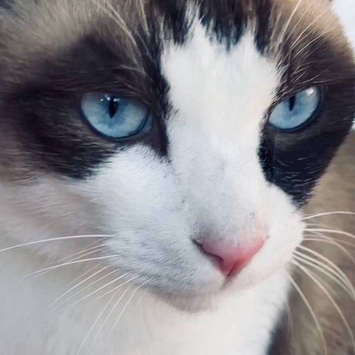 60d6d592 b7db 4d53 a487 fbf0a52249ca 1728803472052