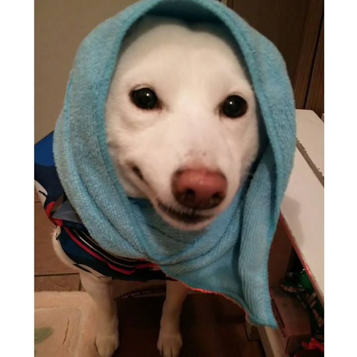 60d6d5cd 07c8 456c aaff 2ab62426b7c3 1547546110997