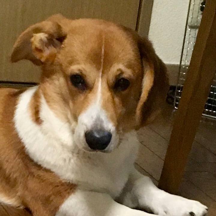 60d70a4b a2bf 472a a6b4 dfa87e8640be 1597658505809