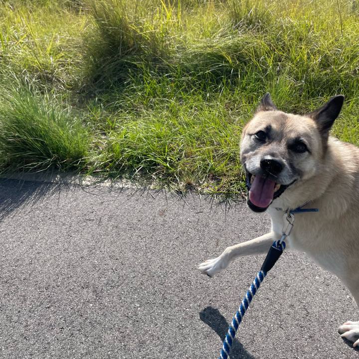 60d71d3f c642 42e1 8854 566d0969785b 1666533308393