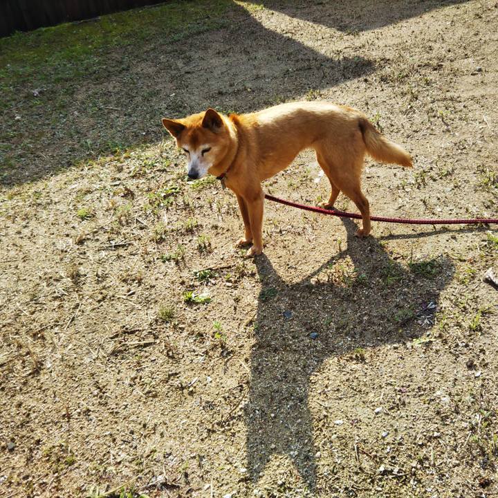 60d77691 3389 4b12 ad1d 6e14be1413c8 1584102379332