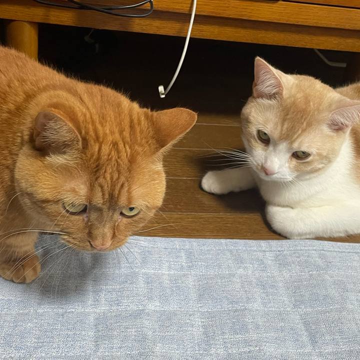 60d79328 8f18 4220 8ae2 0006a582e662 1654253224173