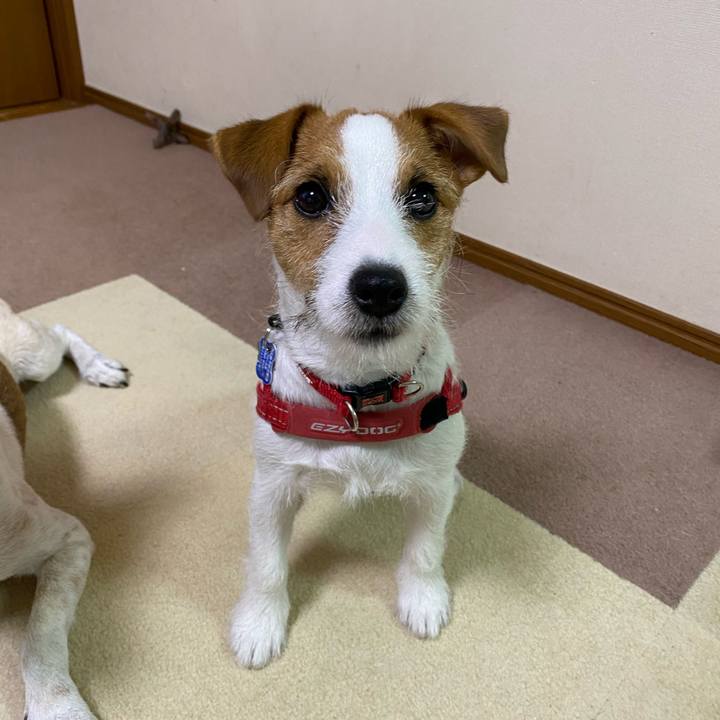 60d7b941 fa37 46a5 b3de e9f261fa7f3b 1619683723120