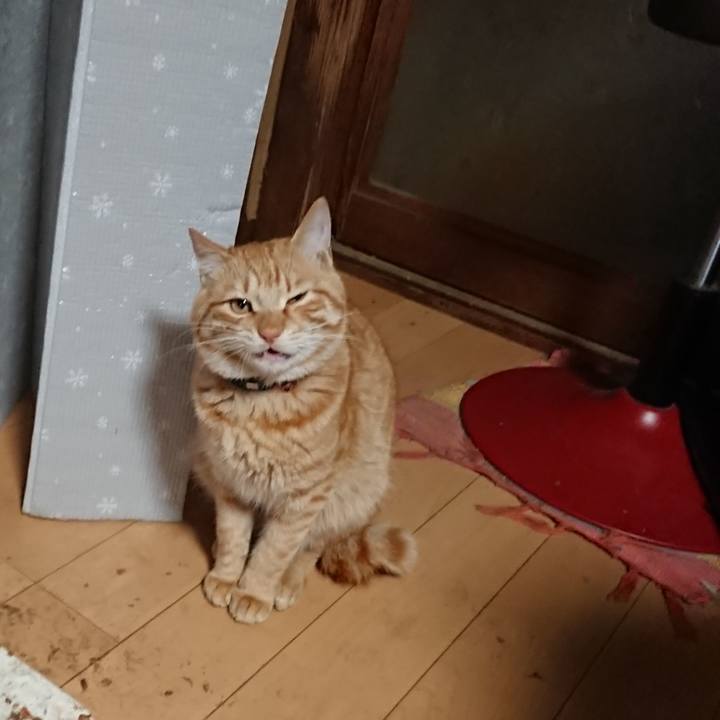 60d7e4b0 1fe7 48f5 995a 5d8118731247 1648417288823