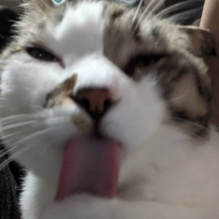 60d7e935 4768 41bb 843d b409c65db94e 1739965757892