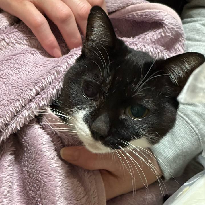 60d7f160 26b8 411f a563 c65cf1fb1823 1769253298227