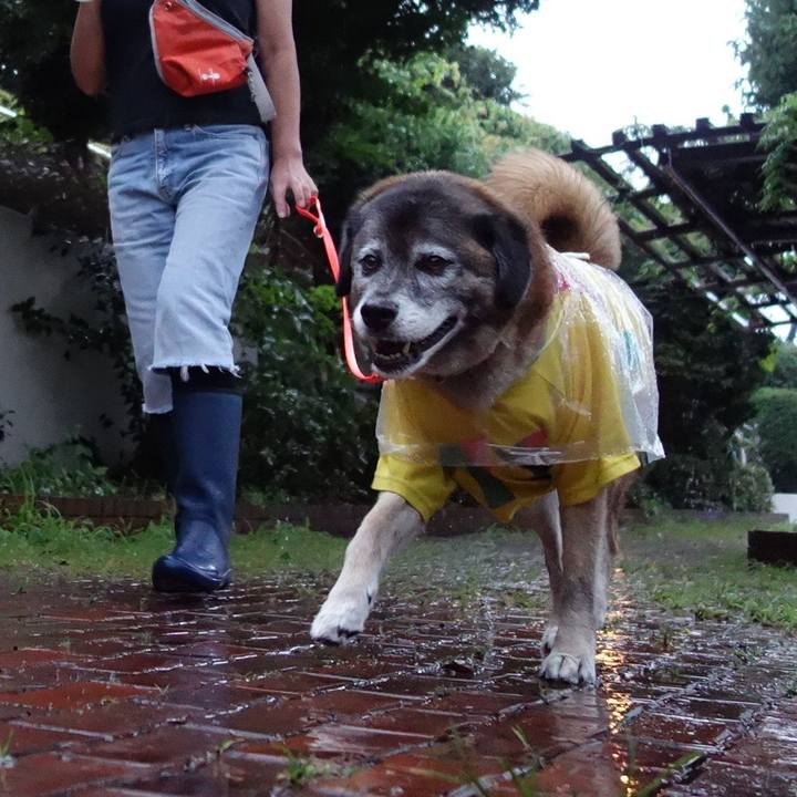 60d7f1be 9628 4829 955d 5fc02fcfa805 1641264795799