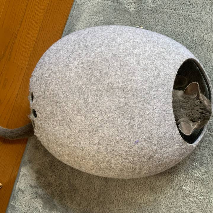 60d7f483 7a72 478e 8cfe ac30e4e5ae4a 1626435558776