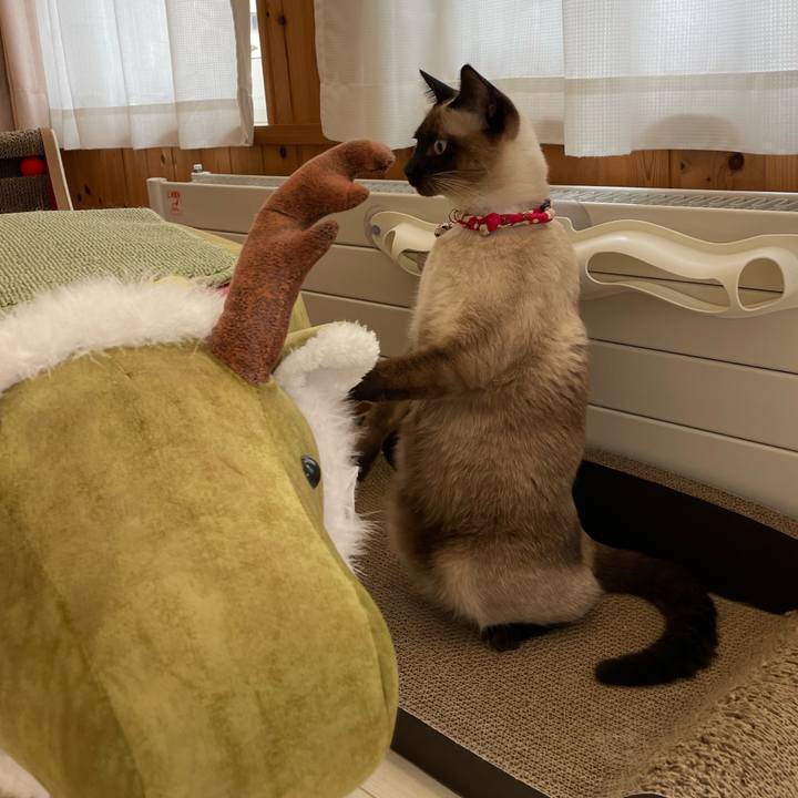 60d7fab1 f190 4ffa 8de9 a500f2496c7b 1730704279817