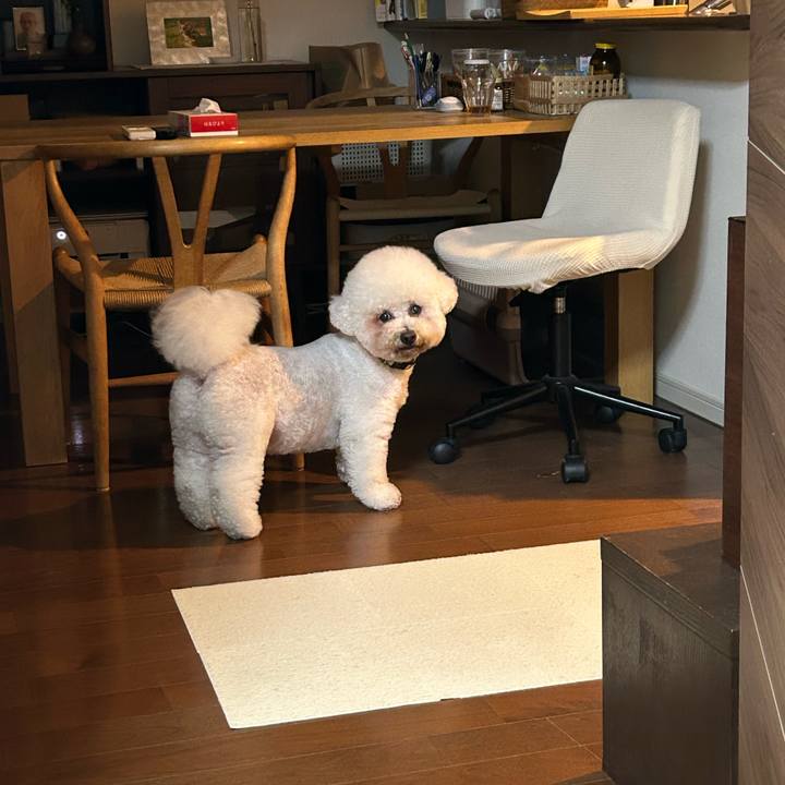 60d81da6 f62e 4e0a a234 ea64209fc6dd 1759294375921