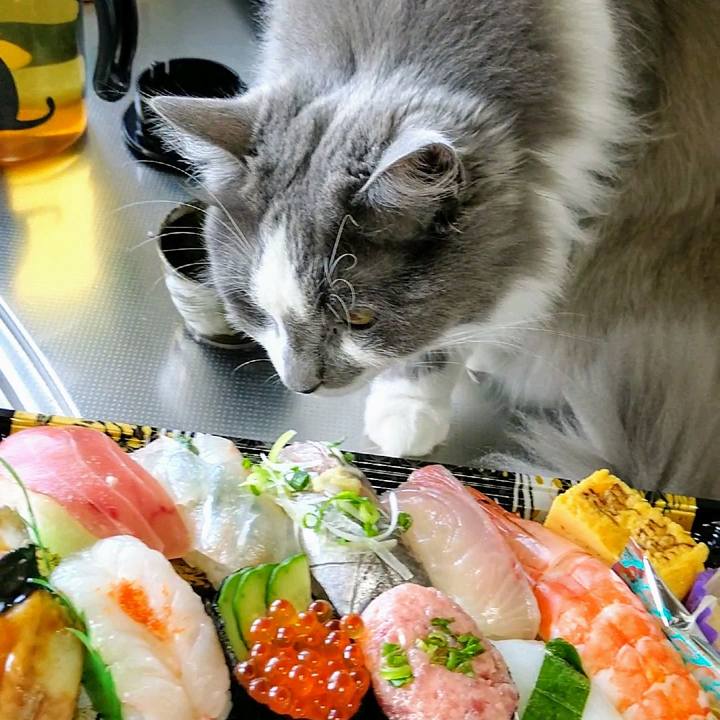 60d8212d c15e 4c5c 8406 096b6a68205d 1587277172090