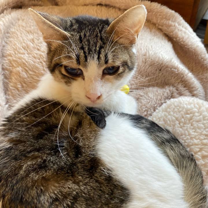 60d8221a 77f1 4fdb 8e49 4d0dc2ea31bb 1704855352288