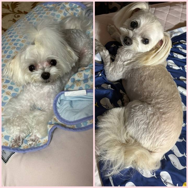 60d874a1 7d0b 4205 8423 5cda1903e422 1753700368707