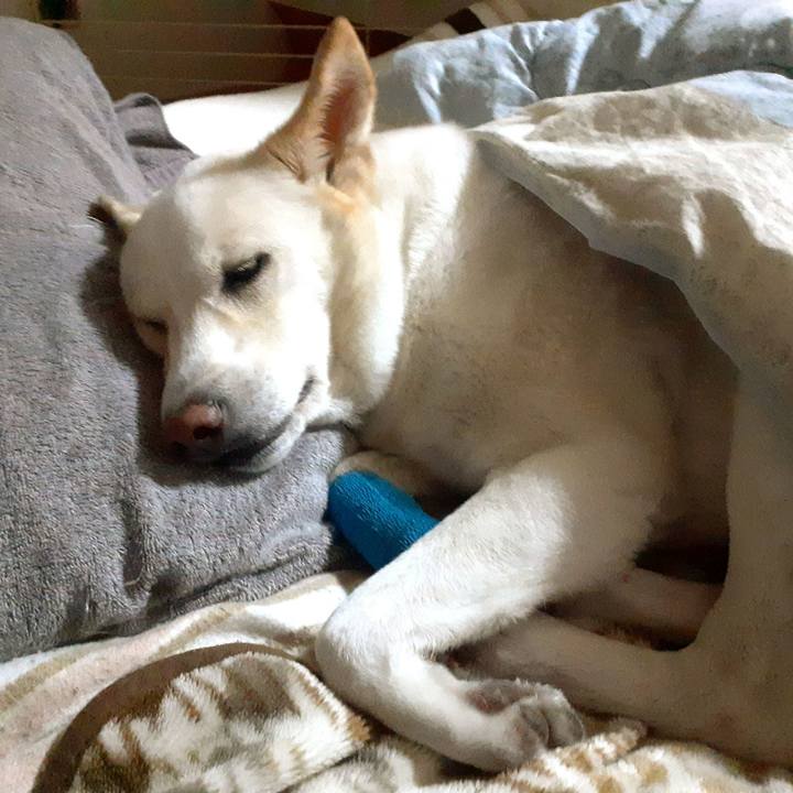 60d879aa 0652 4aaf 94e1 b54f3123813b 1641907576197