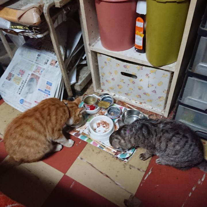 60d88541 4ca5 4c03 9069 36d62c20333e 1591268523329