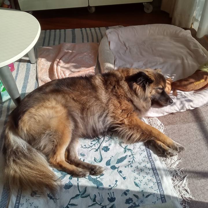 60d88881 26cf 4be8 b983 3578bf750048 1762130657266