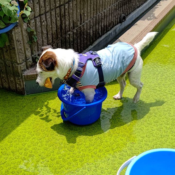 60d8b018 efcc 48ba a731 0fc33b74d59b 1625632515565