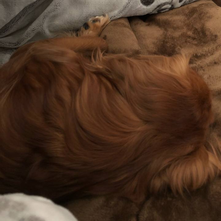 60d9396a b9fb 4e6a 8600 fa17b6a60972 1555222970405