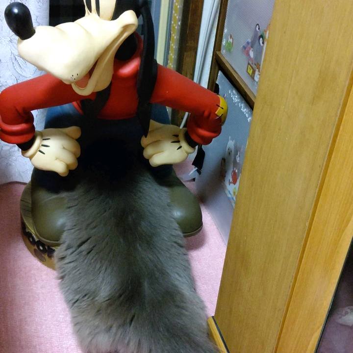 60d93d3f 8677 4570 af44 695f8d7bf760 1600298687340