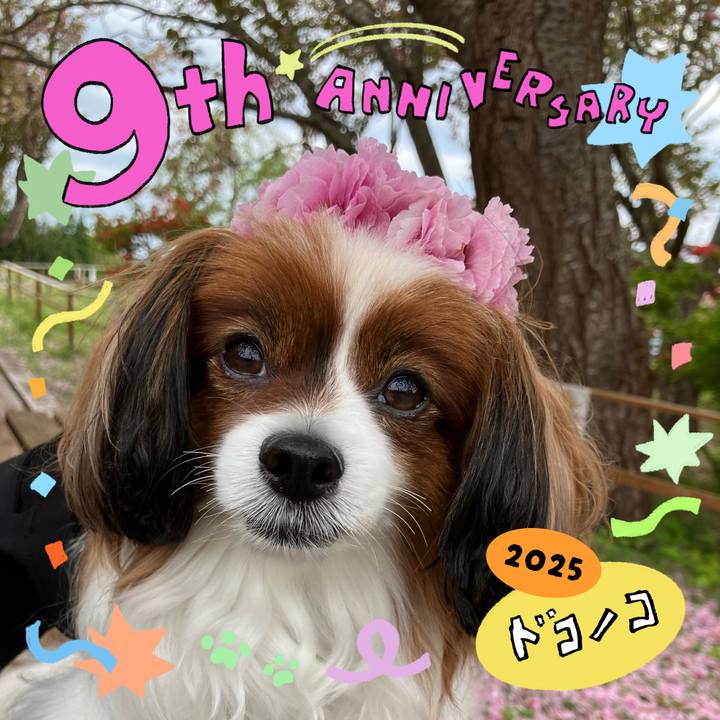 60d96280 e0dc 4611 b627 31a380cf6550 1749094201320