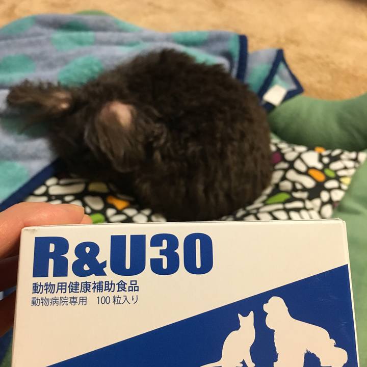 60d9903b d090 41cc ac8e 814abf38565a 1519807665400